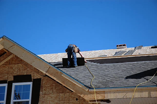 Roof Moss and Algae Removal in Wilkesboro, NC